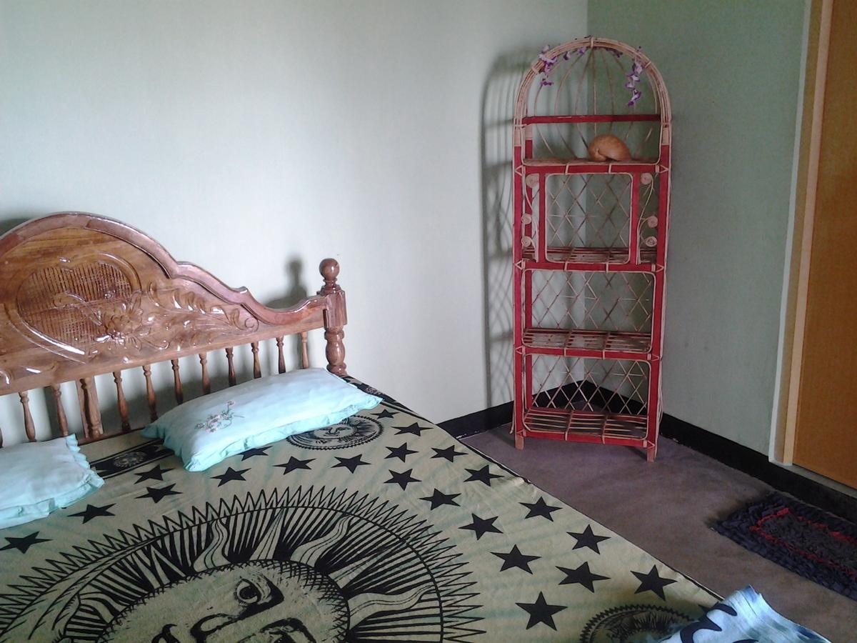 Dolphinchilling Hotel Alankuda Екстериор снимка