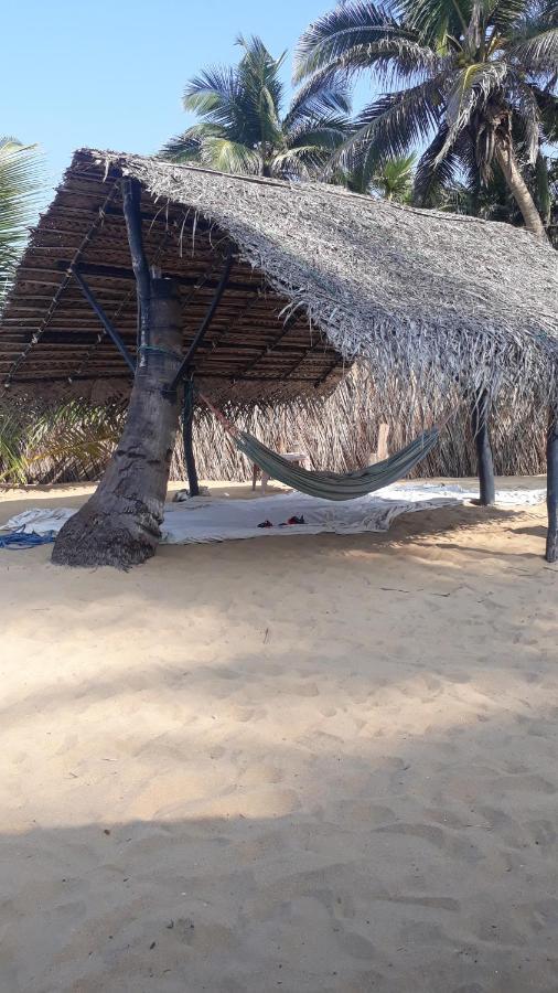 Dolphinchilling Hotel Alankuda Екстериор снимка